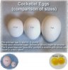 Egg-Size-Comparison.jpg
