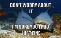 shark do fine.jpg
