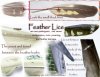 Feather-Lice-ILLUS.jpg