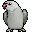 Parakeet - Indian Ringbeck (Grey, Female).gif