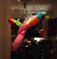 parrot ornament.jpg