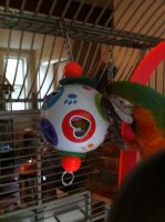 Garanimals Pull-Apart Shape Sorter parrot toy.jpg