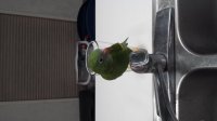 Greenbird faucet.jpg