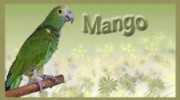 Mango 1.jpg