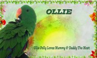 ollie polly 2.jpg