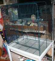 Eric'snew cage 014.JPG