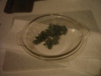 parsley dried and cooling010.JPG