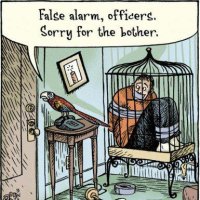 False Alarm sorry officer comic.jpg