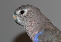 DSC_1600.JPG