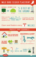 infographic-bird-feeder-placement-lg.png