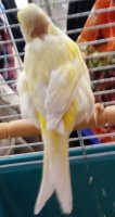 bird 1.jpg bird 1.jpg