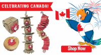 CanadaDayCollection-Slider300dpi.png