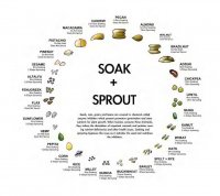 Soak & Sprout food.jpg