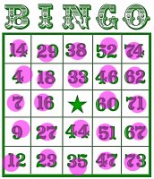 bingo5-002.jpg