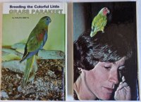 Parakeet LB-2.JPG