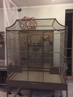 cage 2.jpg