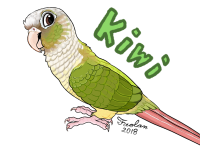 KIWI Portrait for kiwi203 - Name Ver.png