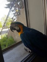 20180526_171254.jpg