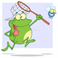 hungry-frog-chasing-fly-net-23428985.jpg