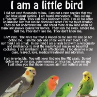 tiny bird poems.jpg