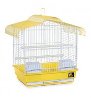 TRAVEL CAGE YELLOW OCTOBER 2018.jpg