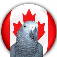 Canada Flag_640.jpg