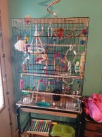 FERGUS AND FIONA STUFFED CAGE AUGUST 2018.jpg