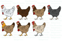 Hen-options-for-keychain.png
