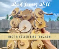 hoot n holler toy