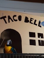 taco bell box 2.jpg taco bell box 2.jpg