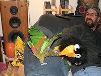 Nerd Attacking stuffed tucan full wings out small.jpg