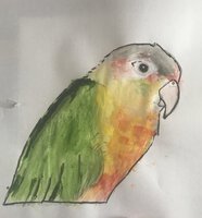 bird painting.jpg