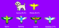 My pets.png
