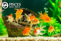 Pisces-1.jpg