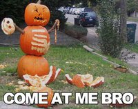 funny-halloween-meme-pumpkin.jpg