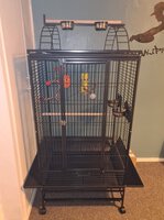 My new cage.jpg