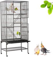 Bird Perches Cage Toys Bird Wooden Play Gyms Stands with Climbing Ladder,  Parrot Play Stand and Bird Swing Conure for Green Cheeks, Baby Lovebird