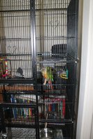 Pippenin new cage.jpg