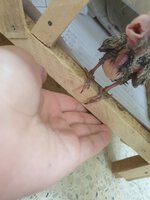20210703_182524.jpg 20210703_182524.jpg