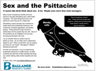 ballance-behavior-and-training-petting-the-pet-parrot-updated-version-10-3.jpg