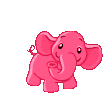 elephant butt.gif