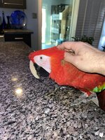IMG_5010.jpeg IMG_5010.jpeg