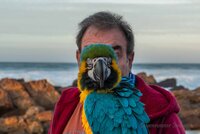 2022-05-14 By the Sea - Macaw (5).jpg
