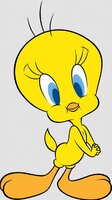 tweety.jpg