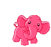 dancing-elephant.gif
