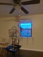 20230210_072118.jpg