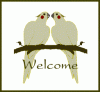 cockatiel-welcome-chirp.gif