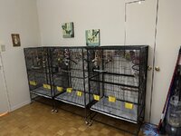 F040s 2.jpg F040s 2.jpg