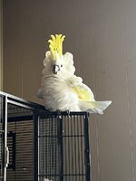 F4842698-6A4B-44AA-84D5-E69C81FE3620.jpeg
