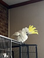 806D02D8-3292-4BD8-AF43-19013CFDF381.jpeg